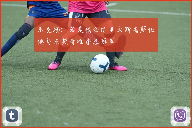 尼克杨：若是我会给里夫斯高薪但他与东契奇难夺总冠军