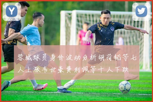 蓉城球员身价波动分析胡荷韬等七人上涨韦世豪费利佩等十人下跌
