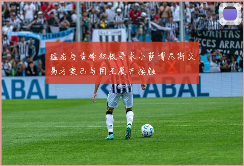 猛龙与黄蜂积极寻求小萨博尼斯交易方案已与国王展开接触